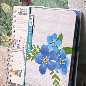 Organizer/calendar/scheduler